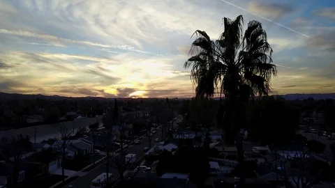Aerial Sunset Sky Palm Tree Silhouette Stock Footage 77697960