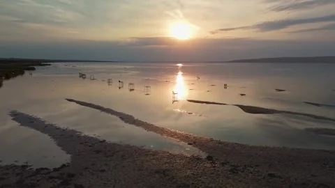 Aerial sunset view of drought-hit Lake Balaton shore and fishing piers Stock Footage 345059546