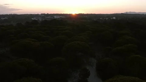 Aerial sunset view of the forest  Stock Footage