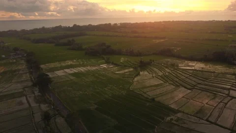 Aerial sunset view of rice field with ocean seascape island of gods bali Stock Footage 149455612