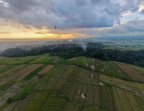 Aerial Sunset View of Rice Fields and Rural Village in Bali Indonesia Stock Photos