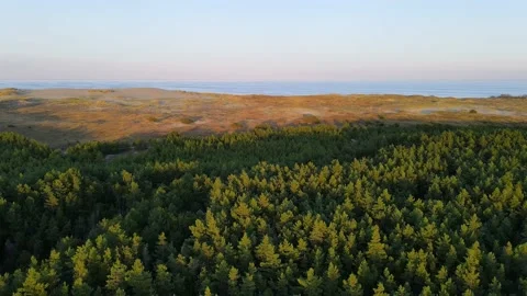 Aerial sunset view of sandy beach, sea and forest on Curonian spit Stock Footage 150163054