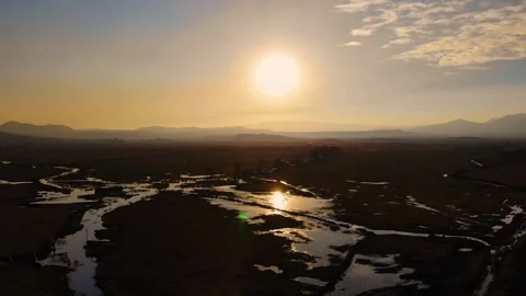 Aerial Sunset View in the Swamp Stock Footage 262079912