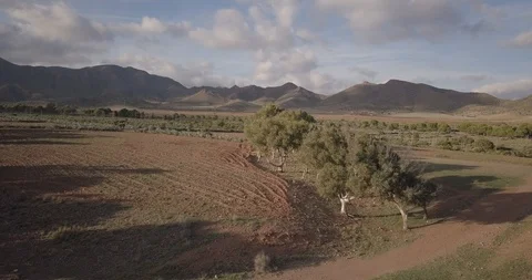 Aerial Survey. Flying over fields near the Los Genoveses beach. Spain Stockbeeldmateriaal 125882332