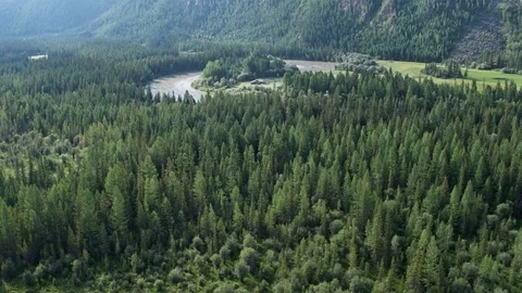 Aerial survey. Flying over a river, a forest, a swamp, a secluded house, 4k Stock Footage 124985809