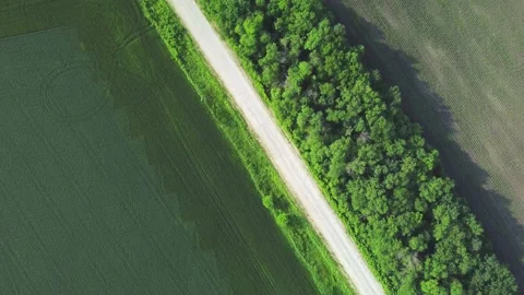 Aerial survey of the road among the fields. video from a quadrocopter Stock Footage 155999366