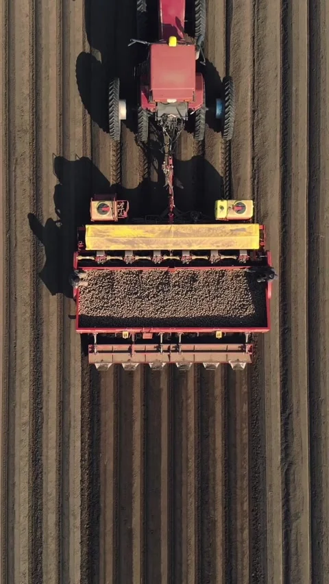 Aerial survey, top view, large tractor with special equipment for planting Stock Footage 309684798