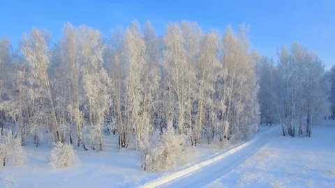 Aerial survey of winter forest Stock Footage 83337629
