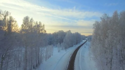 Aerial survey of winter forest Stock Footage 83338560
