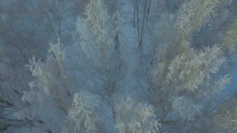 Aerial survey of winter forest Stock Footage 83343695