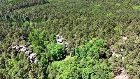 Aerial sweep over dense mixed forest with granite outcrops, wooden viewing Stock Footage 342359356