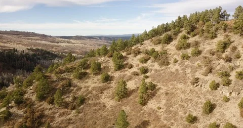 Aerial - Sweeping over a tree line Stock Footage 85817467