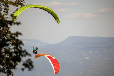 Aerial Symphony: Flight Elegance Stock Photos