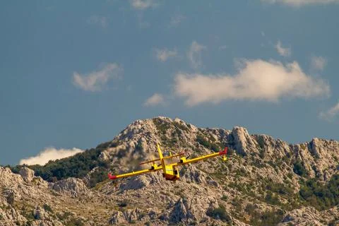 Aerial Symphony: Flight Elegance Stock Photos