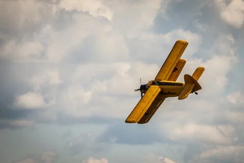 Aerial Symphony: Flight Elegance Stock Photos