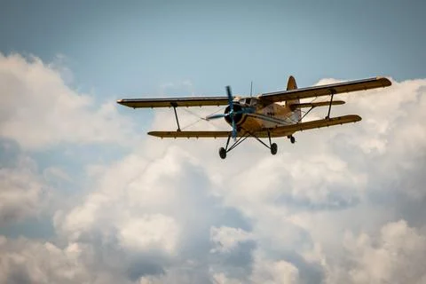 Aerial Symphony: Flight Elegance Stock Photos