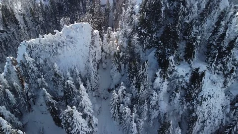 Aerial Symphony: Pine Forest Serenade to Snowy Rock Elegance Stock Footage 255976154