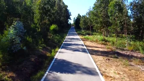 Aerial take of an empty road surrounded by forest Stock Footage 136334686