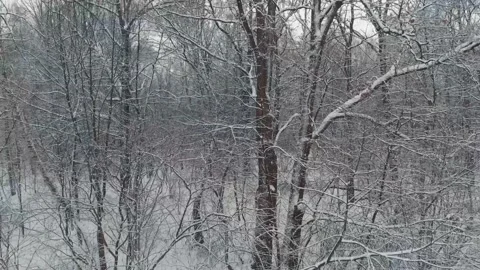 Aerial Take Off With Fly Up Over Winter Forest Stock-Footage 147184858