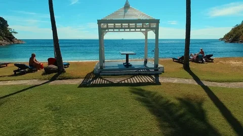 Aerial: Takeoff between two palm trees on the beach. Stock Footage 69844707