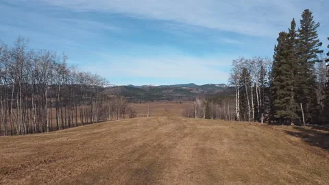 Aerial Takeoff Over Trees Towards Mountains Stock Footage 131287757