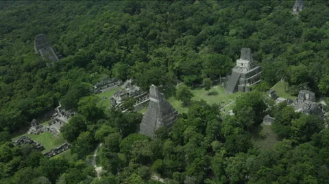 Aerial of Temple of the Two-headed snake at Tikal National Park Stock Footage 63058539