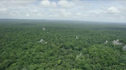 Aerial of Temple of the Two-headed snake at Tikal National Park Stock Footage 63060096