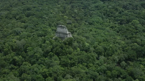Aerial of Temple of the Two-headed snake at Tikal National Park Stock Footage 63060705