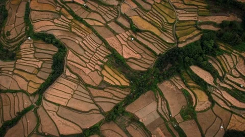 Aerial Of Terraced Rice Fields with Abstract Patterns, Village Drone Shot Stock Footage 166111923