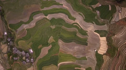 Aerial of Terraced Rice Fields in Mu Cang Chai, Yen bai, Vietnam 動画素材 76890873