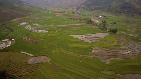 Aerial of Terraced Rice Fields in Mu Cang Chai, Yen bai, Vietnam 動画素材 76891285
