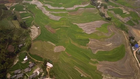 Aerial of Terraced Rice Fields in Mu Cang Chai, Yen bai, Vietnam 库存影片 76891427