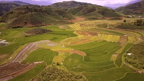 Aerial of Terraced Rice Fields In Mu Cang Chai, Vietnam Stockbeeldmateriaal 76912933