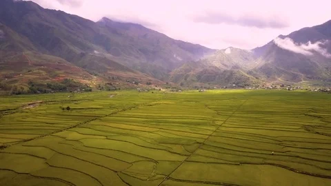 Aerial of Terraced Rice Fields In Mu Cang Chai, Vietnam Stock Footage 76915849