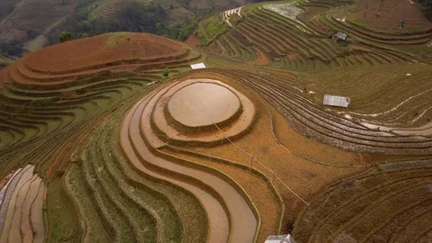 Aerial of Terraced Rice Fields in Mu Cang Chai, Yen bai, Vietnam Stock Footage 76915941
