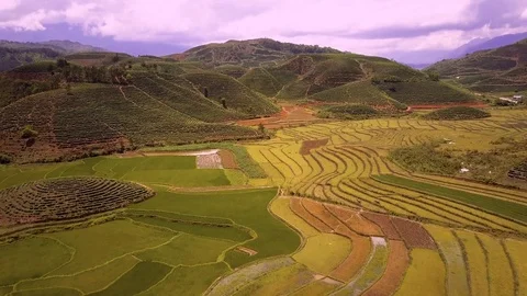 Aerial of Terraced Rice Fields In Mu Cang Chai, Vietnam Stock-Footage 76917799