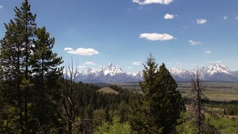 Aerial Teton Mountain Range View Moving Through Trees In Foreground Stock-Footage 233457462