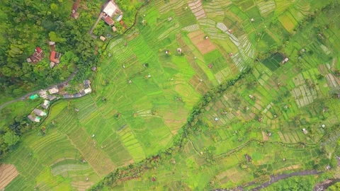 Aerial texture shot of agriculture fields Stock Footage 340970789