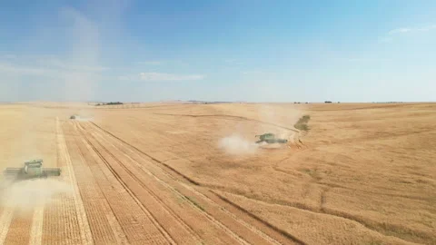 Aerial-Three combines harvesting fields of golden grain Stock Footage 207342044
