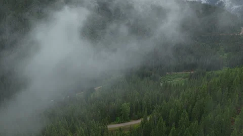 Aerial through low clouds in St Joe national forest in Wallace Idaho in spring Vidéo 335965486