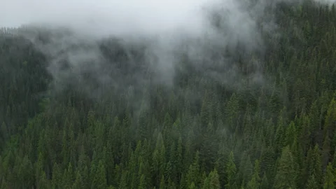 Aerial through low clouds in St Joe national forest near Wallace Idaho Stock Footage 335965525