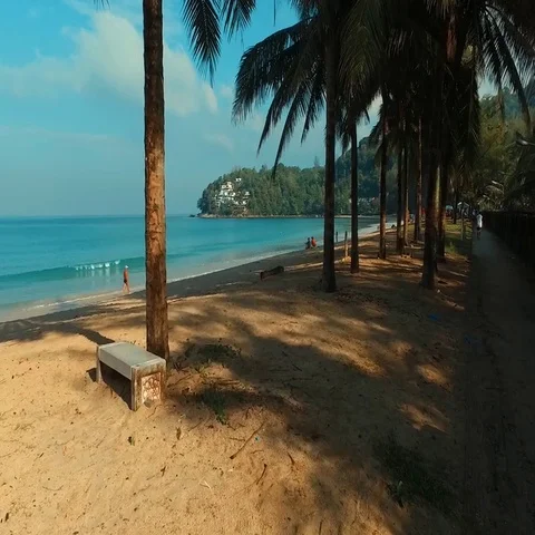 Aerial: Through the palm trees to the beach. Stock Footage