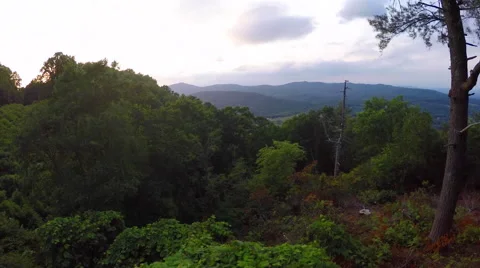Aerial Through The Woods Stock Footage 51017951