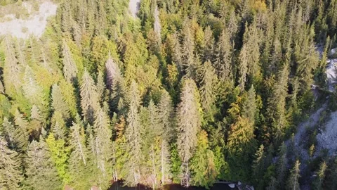 Aerial tilt down overhead view over the "Lac Vert" (green lake), french Alps. Video stock 140782301