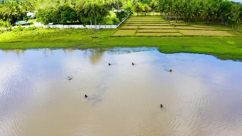 Aerial tilt down view above tropical, agricultural patterned fields to Stock Footage 108404079
