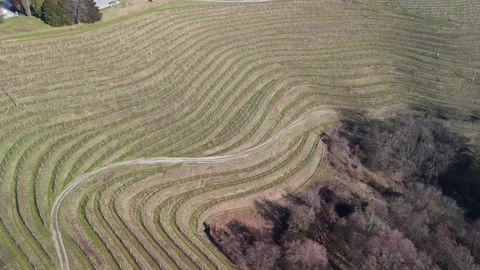 Aerial tilt-down view of Jeruzalem’s terraced vineyards and rolling green hills Stock Footage 334718875