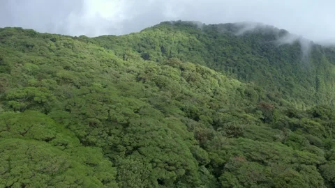 Aerial tilt up of mountain valley cloud forest and thin clouds, Costa Rica Stock Footage 339879531