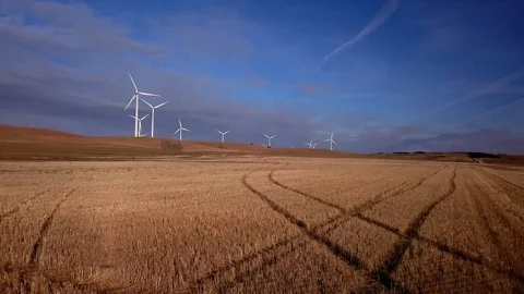 Aerial tilt over wheat fields to reveal wind farm at sunset Stock Footage