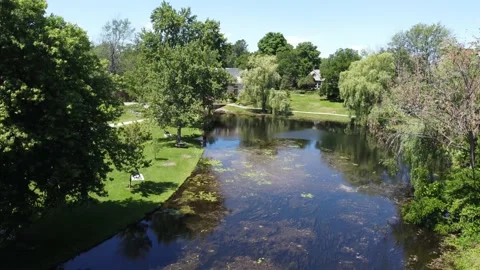 Aerial Tilting down  a quiet river in a park 4K Stock Footage 200145077