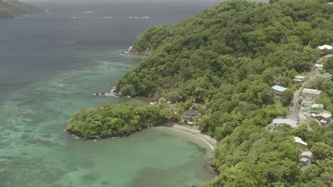 Aerial tilts down from coastline of Speyside, Tobago to reveal the village Stock Footage 340856626